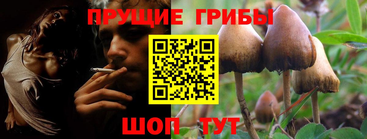 Псилоцибиновые грибы ЛСД Курчатов